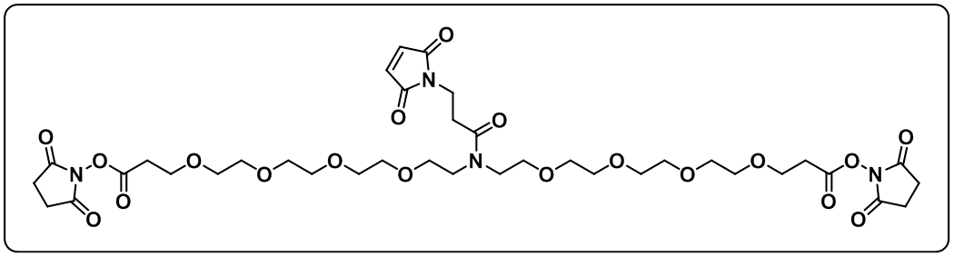 N-Mal-N-bis(PEG4-NHS ester)