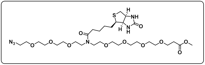 N-(Azido-PEG3)-N-Biotin-PEG4-methyl ester