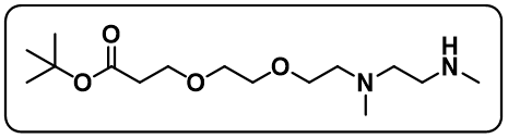 N,N'-DME-N-PEG2-Boc