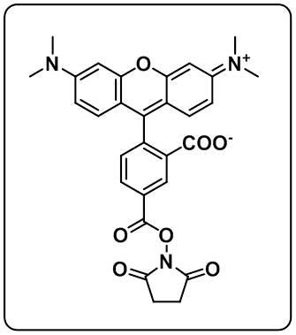 5-TAMRA NHS ester