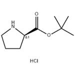 D-Pro-Otbu.Hcl pictures