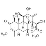 EURYCOMANONE pictures