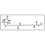 N-Boc-6-Biotinamidohexylamine pictures