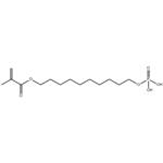 	12-Methacryloyldodeylphosphate