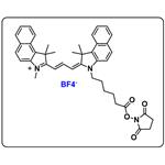 Cyanine3.5 NHS ester（BF4）
