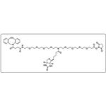 N-(DBCO-PEG4)-N-Biotin-PEG4-NHS