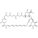 Amphotericin B pictures