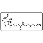 Biotin-PEG1-amine pictures