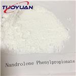 Nandrolone Phenylpropionate 
