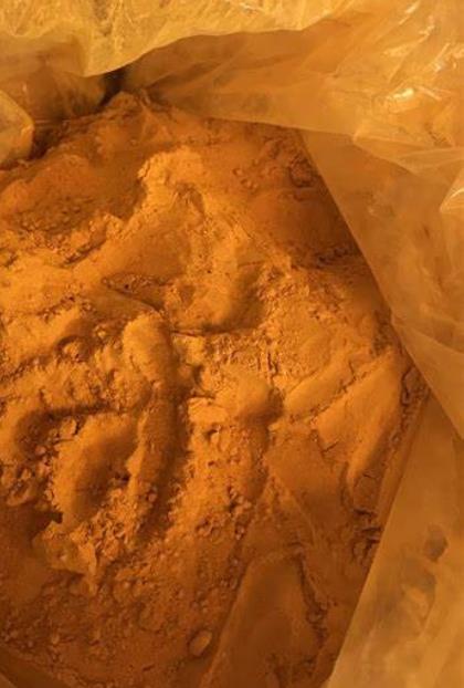 Article illustration