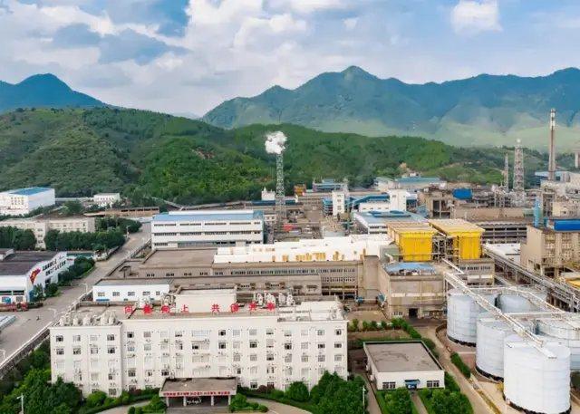 Article illustration