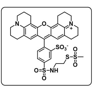 SR101-MTSEA [SulfoRhodamine101-2-Sulfonamidoethyl]