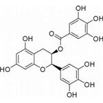 Tea polyphenol pictures