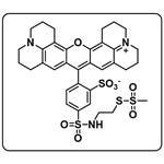 SR101-MTSEA [SulfoRhodamine101-2-Sulfonamidoethyl]