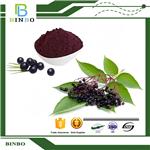 Elderberry Extract pictures