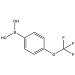4-Trifluoromethoxyphenylboronic acid
