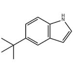 5-(tert-Butyl)-1H-indole pictures