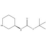 (R)-3-(Boc-Amino)piperidine pictures