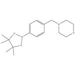 4-[4-(4,4,5,5-TETRAMETHYL-1,3,2-DIOXABOROLAN-2-YL)BENZYL]MORPHOLINE pictures