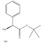 H-Phg-OtBu.HCl pictures