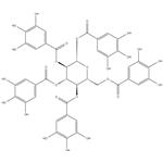 	1,2,3,4,6-PENTA-O-GALLOYL-BETA-D-GLUCOPYRANOSE pictures