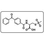 BPCAC-MTS [Benzophenone-4-carboxamidocysteine methanethiosulfonate] pictures