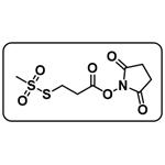 MTS-3-NHS [N-Succinimidyloxycarbonylethyl methanethiosulfonate]