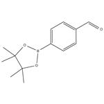 4-Formylphenylboronic acid pinacol cyclic ester