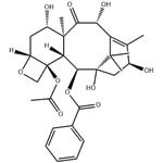 10-Deacetylbaccatin III