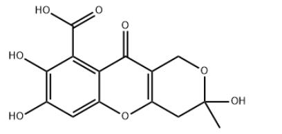 Article illustration