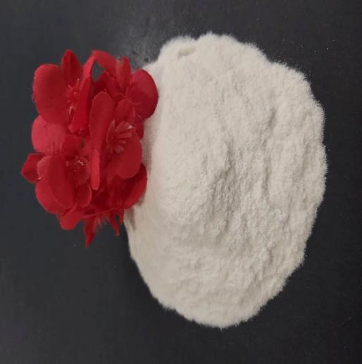 Polyanionic Cellulose Powder PAC (LV) for Oil Drilling