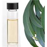 Eucalyptus oil pictures