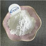 9000-11-7 Carboxymethyl cellulose / CMC