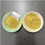 Casein phosphopeptide pictures