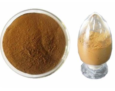 Article illustration