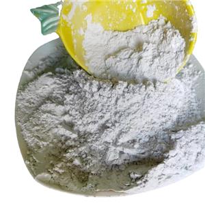 Spot Supply of Ningbo Xinfu Titanium Dioxide Ntr-606