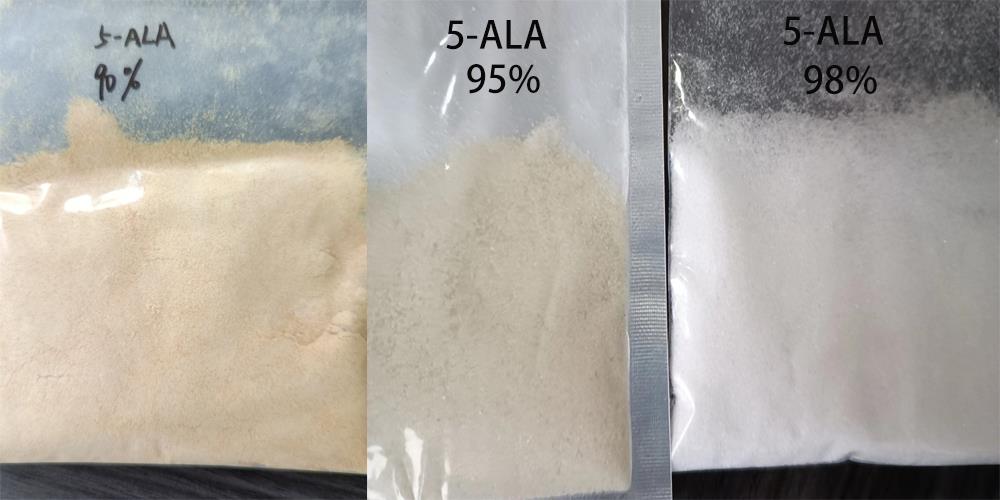 Article illustration