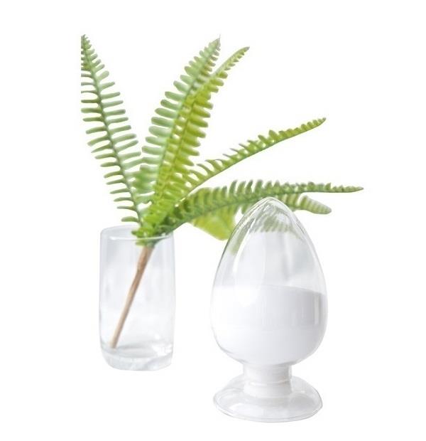 Article illustration