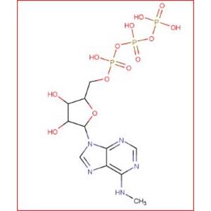 N6-Methyladenosine 5'-triphosphate