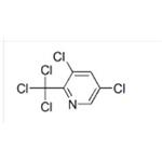 3,5-dichloro-2-(trichloromethyl)pyridine