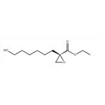 2-Oxiranecarboxylic acid, 2-(6-hydroxyhexyl)-, ethyl ester, (2R)-