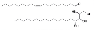 Ceramide NP2