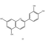 LUTEOLINIDIN CHLORIDE
