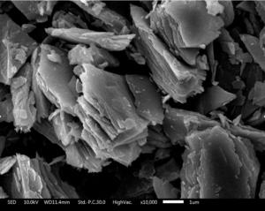 Article illustration