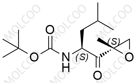 Article illustration