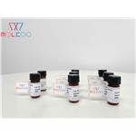 Lumateperone Impurity