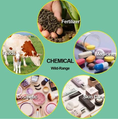 Article illustration