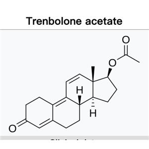 Trenbolone Acetate;Tren A;Tren Ace