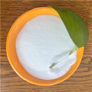 Dimethocaine Hydrochloride