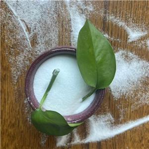 2-ethylbutyl ((S)-(perfluorophenoxy)(phenoxy)phosphoryl)-L-alaninate